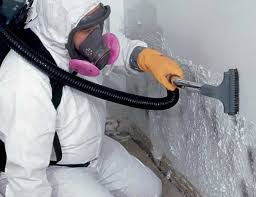 Best Comprehensive Air Testing for Mold Contaminants  in Frazier Park, CA